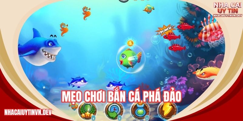 mẹo chơi bắn cá phá đảo