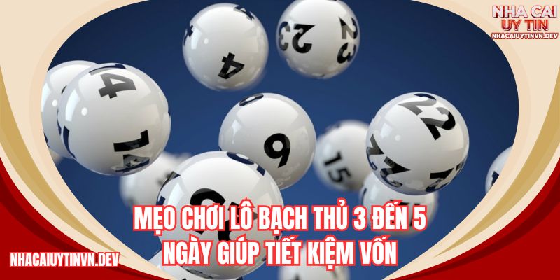 Mẹo chơi lô bạch thủ 3 đến 5 ngày giúp tiết kiệm vốn