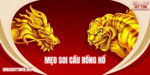 mẹo soi cầu rồng hổ