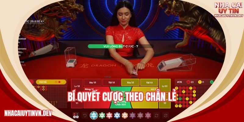 Bí quyết cược theo chẵn lẻ