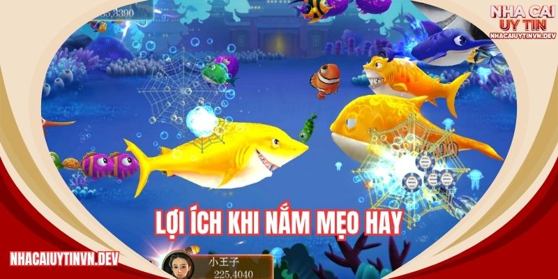 Lợi ích khi nắm mẹo hay