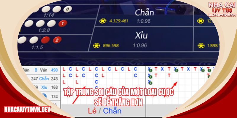 Khi soi cầu thì chỉ nên tập trung chơi một loại cược duy nhất