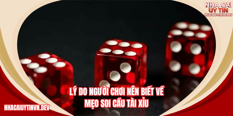 Vì sao cần nắm mẹo soi cầu tài xỉu