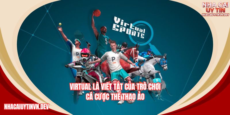 Virtual là trò chơi thể thao ảo được mô phỏng bởi hệ thống